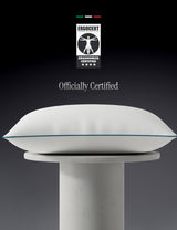 Morpheus Firenze Spring Pillow