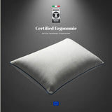 Viscospring Signature Pillow