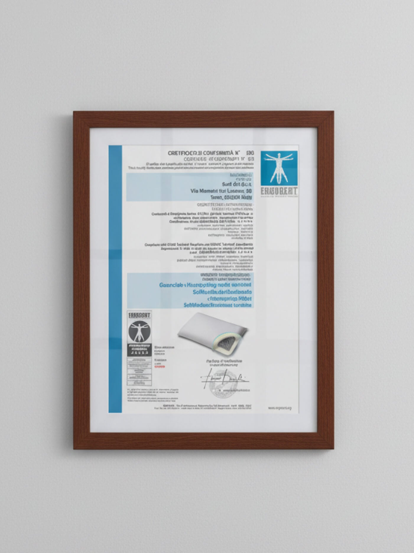 Viscospring Signature Pillow