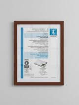 Viscospring Signature Pillow